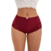 Women's Lace Trim High Waist Briefs Full-Coverage Lace Back Underwear Panties